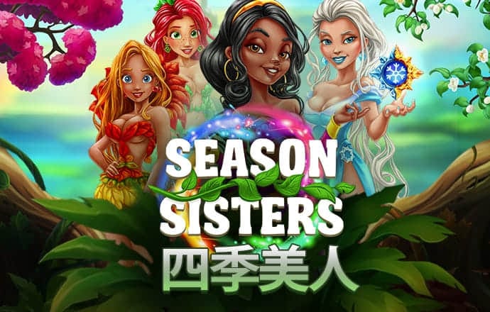 我的海豚表演3